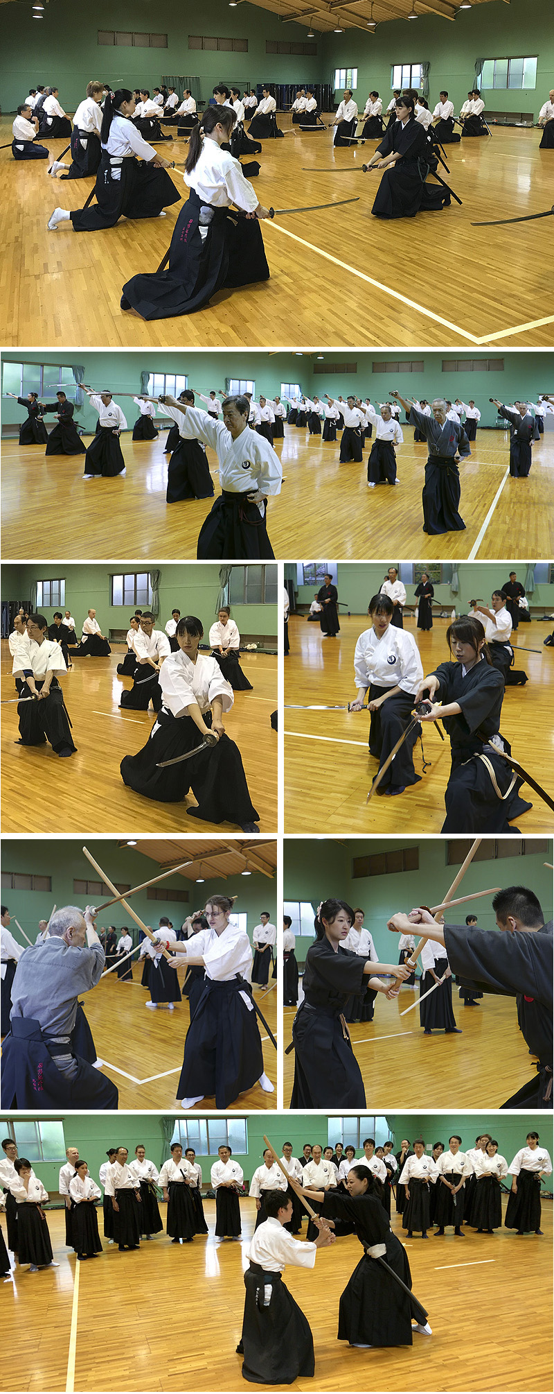 iaido/akihabara