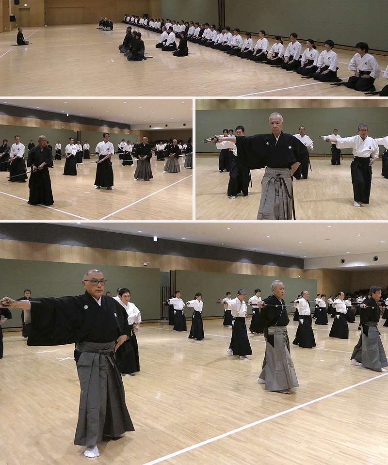 iaido