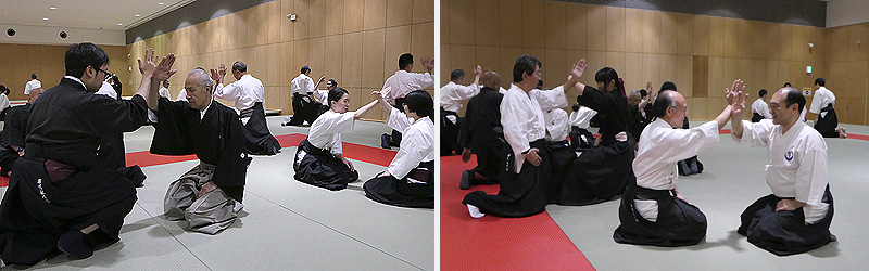 iaido