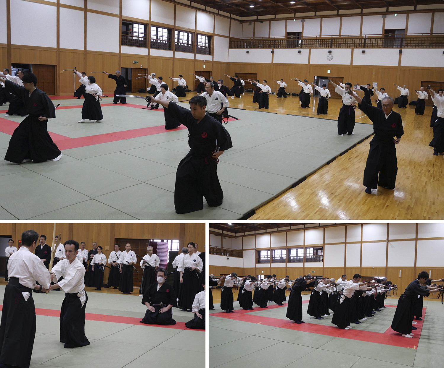 日立武道館での稽古の居合・居合道活動記録