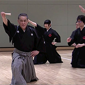 ancient Japanese martial arts