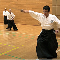 ancient Japanese martial arts（一）