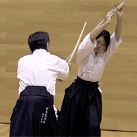 ancient Japanese martial arts