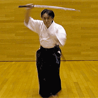 ancient Japanese martial arts