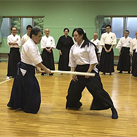 ancient Japanese martial arts