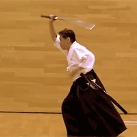 ancient Japanese martial arts