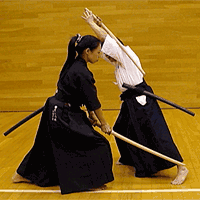 ancient Japanese martial arts