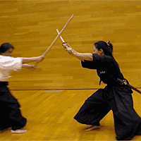 ancient Japanese martial arts