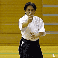 ancient Japanese martial arts