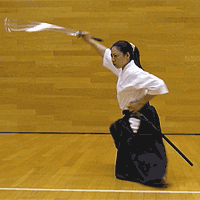 ancient Japanese martial arts