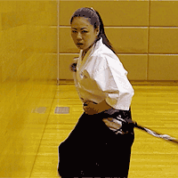 ancient Japanese martial arts