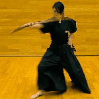 ancient Japanese martial arts