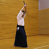 ancient Japanese martial arts