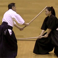 ancient Japanese martial arts