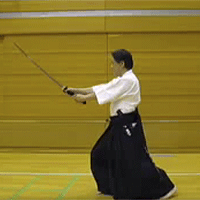 ancient Japanese martial arts