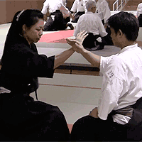 ancient Japanese martial arts