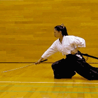 ancient Japanese martial arts・陽中陰