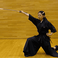 ancient Japanese martial arts