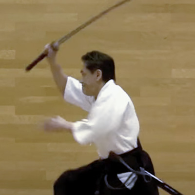 ancient Japanese martial arts